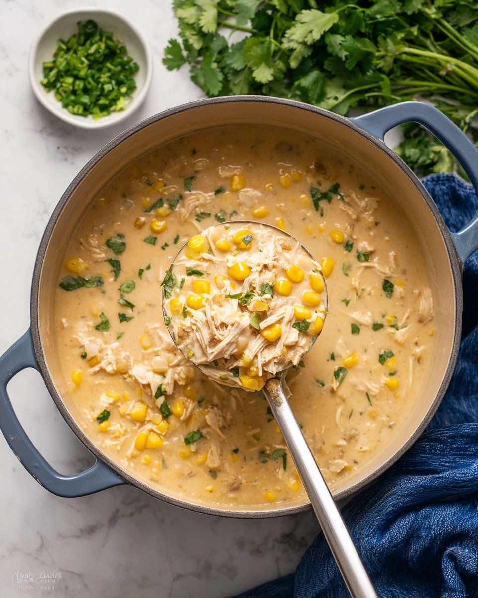 A bowl of chicken chili with a spoon in it.