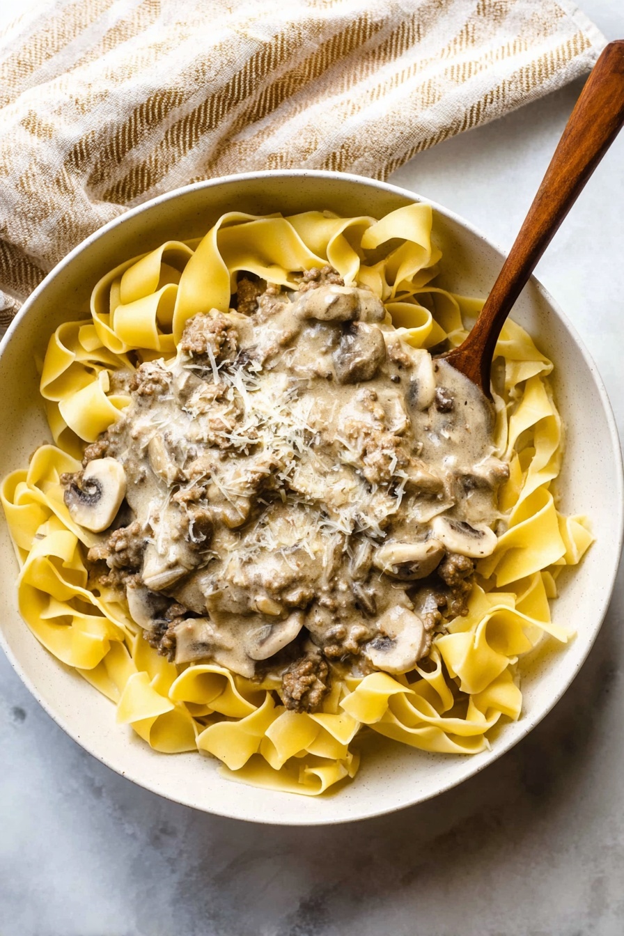 A bowl of bison stroganoff with noodles and mushrooms.