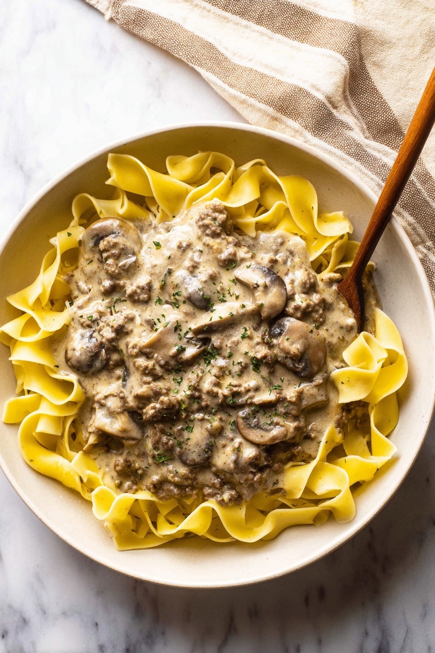 A bowl of bison stroganoff with mushrooms and noodles.