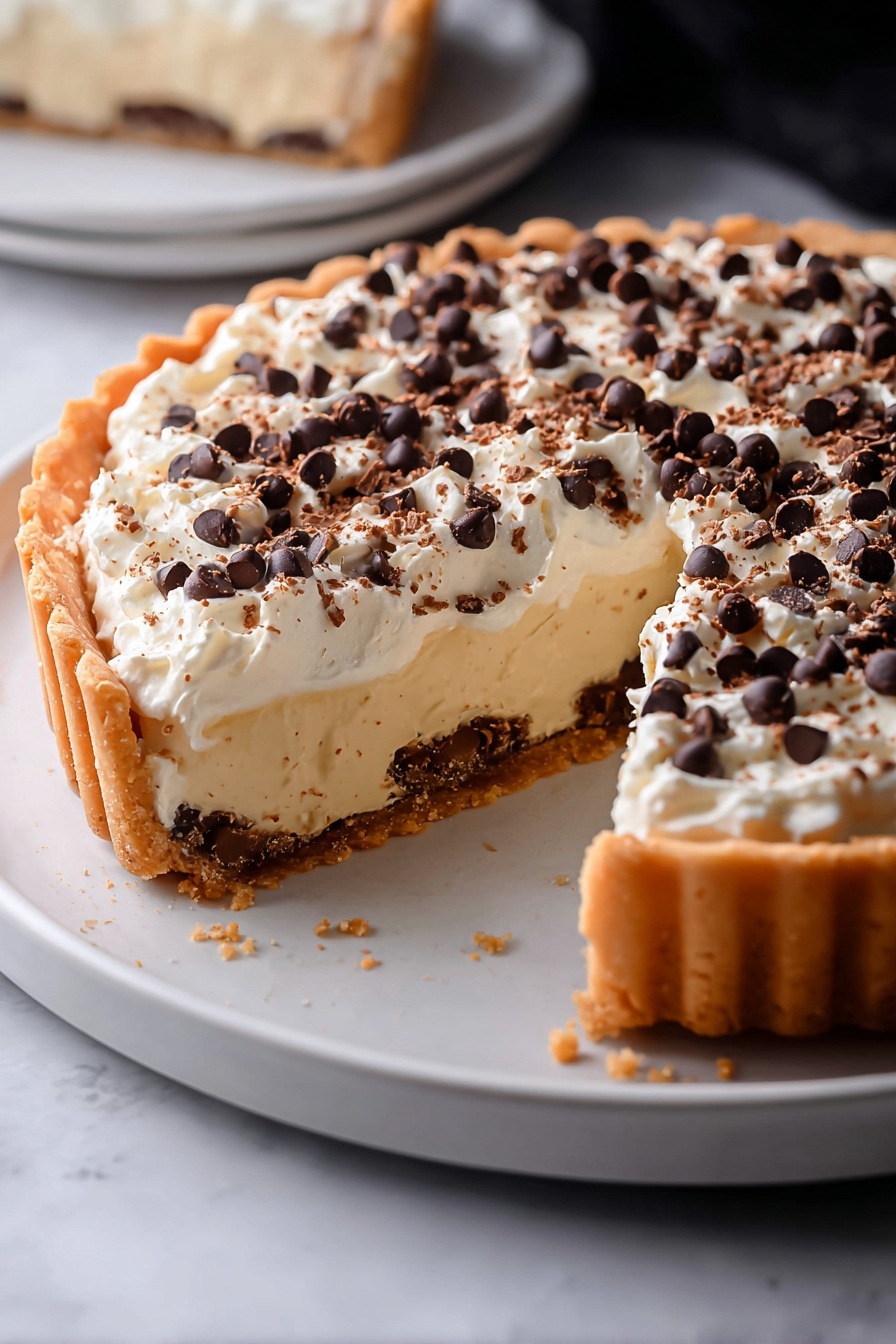 A slice of chocolate chip cannoli pie.