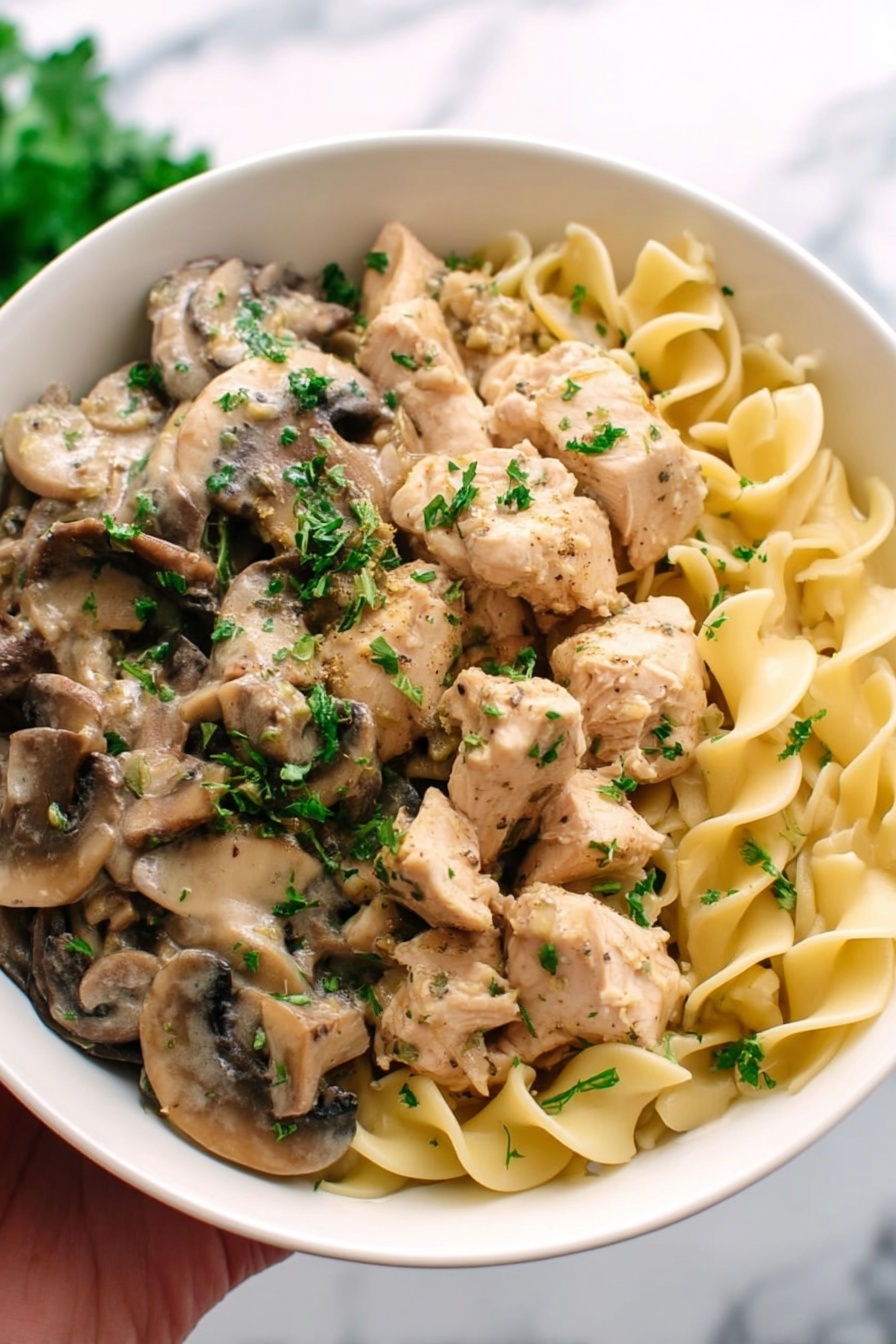 A bowl of chicken stroganoff with mushrooms and noodles.
