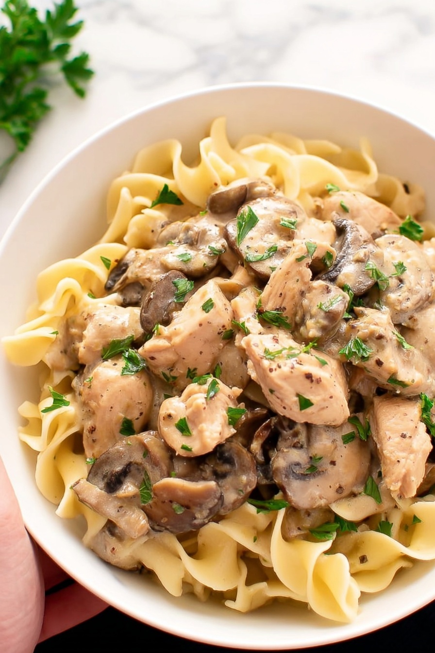 A bowl of chicken stroganoff with mushrooms and noodles.