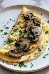 A mushroom and swiss omelet on a plate.