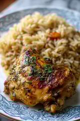 A plate of smothered chicken and rice.