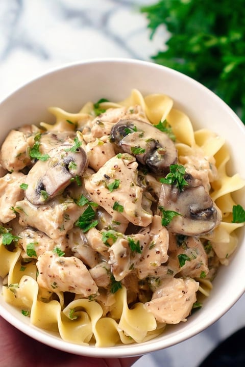 A bowl of chicken stroganoff.