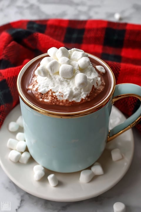 A cup of hot chocolate with marshmallows on top.